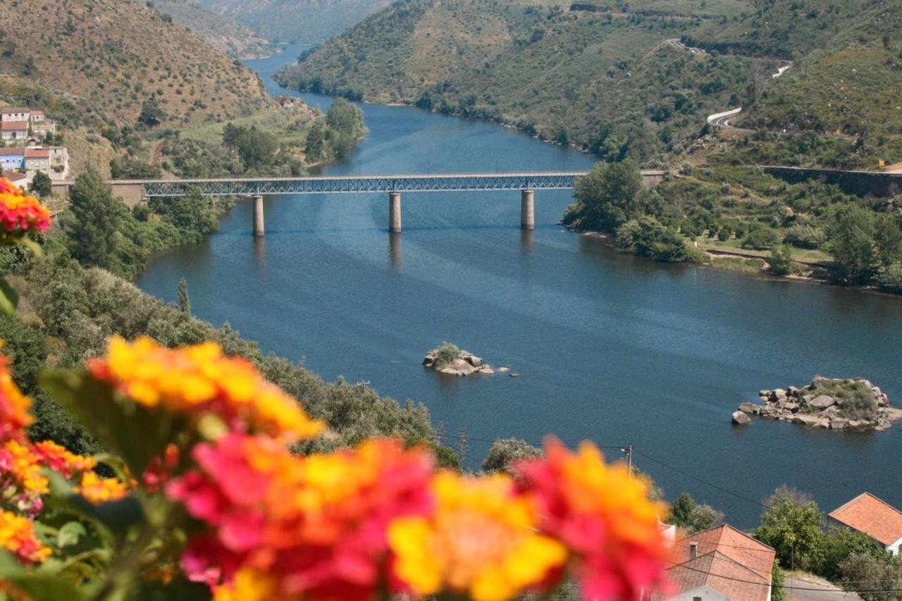Quinta Do Belo-Ver Turismo De Habitacao Belver  Εξωτερικό φωτογραφία